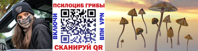 сколько стоит Полярные Зори Галлюциногенные грибы ЛСД